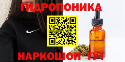 стаф Белореченск