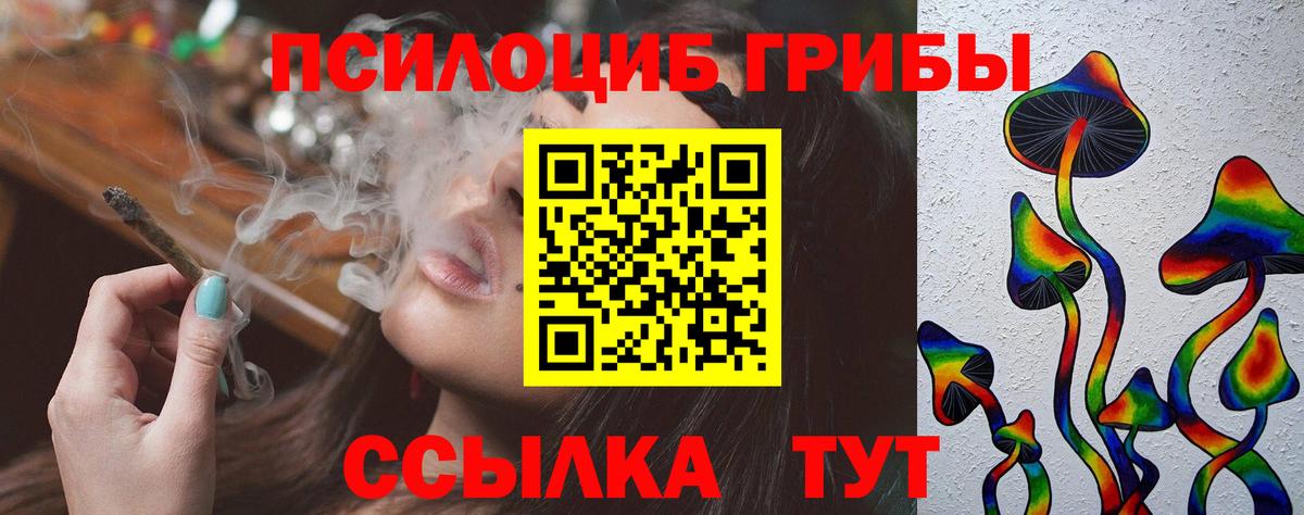 Псилоцибиновые грибы прущие грибы Кострома