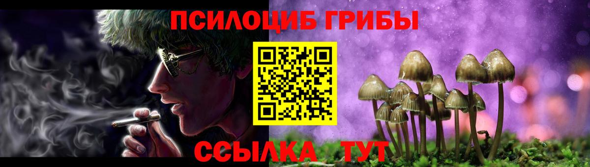 Кострома  Псилоцибиновые грибы ЛСД  Вход с VPN 